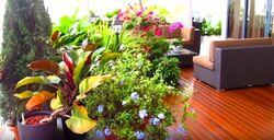 Skypark @ Somerset (D9), Apartment #272147091